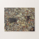 Search for natural stone puzzles Nature