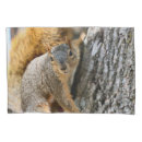 Search for squirrel pillowcases Wildlife
