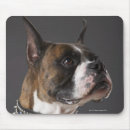 Search for boxer dogs mousepads Nature