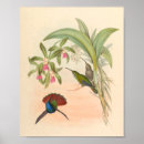 Search for hummingbird art Flowers