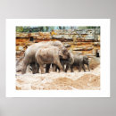 Search for indian elephant art Nature