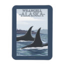 Search for wrangell magnets States