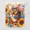 Search for bengal cats postcards Feline