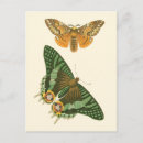 Search for nature border postcards Vision studio