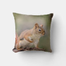 Search for red squirrel cushions Animal
