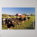 Search for mounted art Red