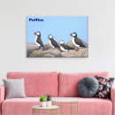 Search for puffin art Nature