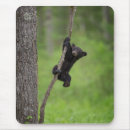 Search for smoky mountain electronics Black bear