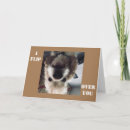 Search for funny cocker spaniel cards Photography