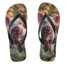 Search for pig jandals Cute