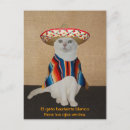 Search for sombreros postcards Cat
