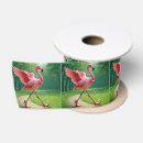Search for flamingo ribbon Bird