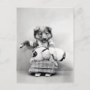 Search for mignon postcards Vintage