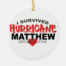 Search for i survived christmas tree decorations Hurricane