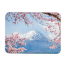 Search for cherry blossom magnets Snow