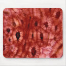 Search for life science mousepads Botany