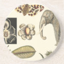 Search for insects coasters Background