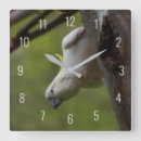 Search for photo nursery clocks Animal
