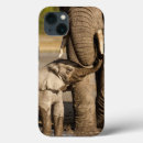 Search for conservation cases Africa