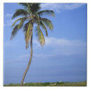 Search for outdoor tiles Summer