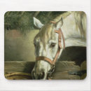 Search for horse stable electronics Barn