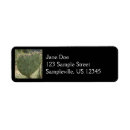Search for pear return address labels Green