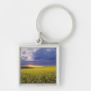 Search for swan key rings Scenic