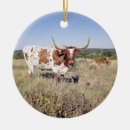 Search for longhorn cow christmas decor Texas