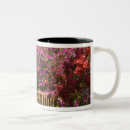 Search for charleston south carolina mugs Colourful