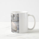 Search for space observatory mugs Science