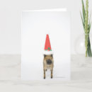 Search for wild christmas cards Animal