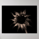 Search for artis posters Flower