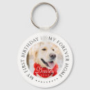 Search for dog adoption accessories Adopt a pet