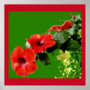 Search for hibiscus posters Garden