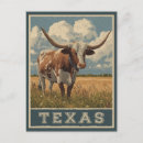 Search for longhorn cattle posters Vintage