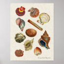 Search for high resolution posters Vintage