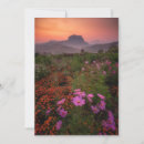 Search for parkland postcards Flower