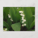Search for easter day cards invites Flowers