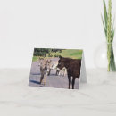 Search for donkey birthday cards Photography