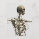 Search for three dimensional postcards Detail
