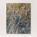 Search for grass puzzles Autumn