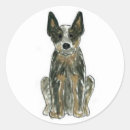Search for australian cattle dog stickers Blue