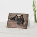 Search for german shepherd puppy cards Canine