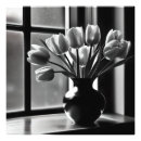 Search for monochrome posters Tulips