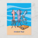 Search for squid postcards Cartoon