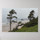 Search for cannon posters Haystack rock