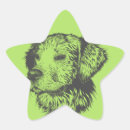 Search for star dog Pets