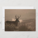 Search for stag invitations Deer