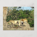 Search for hungry postcards Funny
