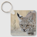 Search for bobcat key rings Wildlife